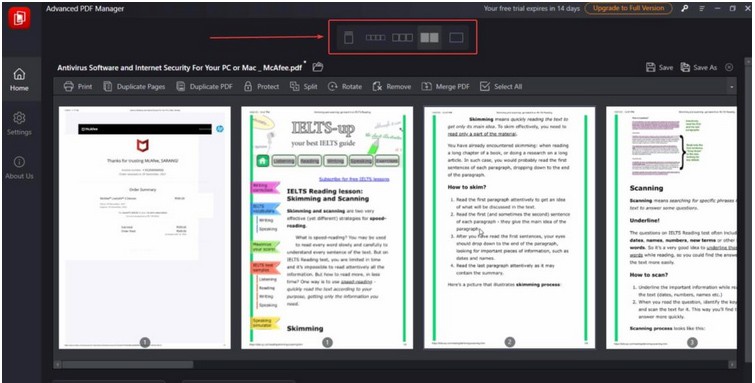 PDF Viewer