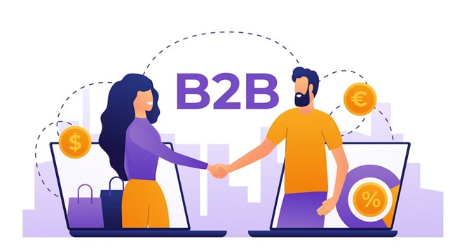 What is B2B eCommerce