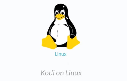 Kodi on Linux