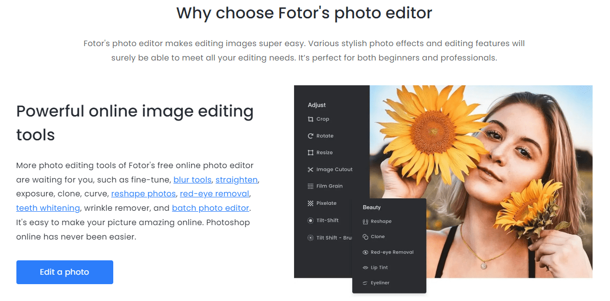 Fotor alternatives