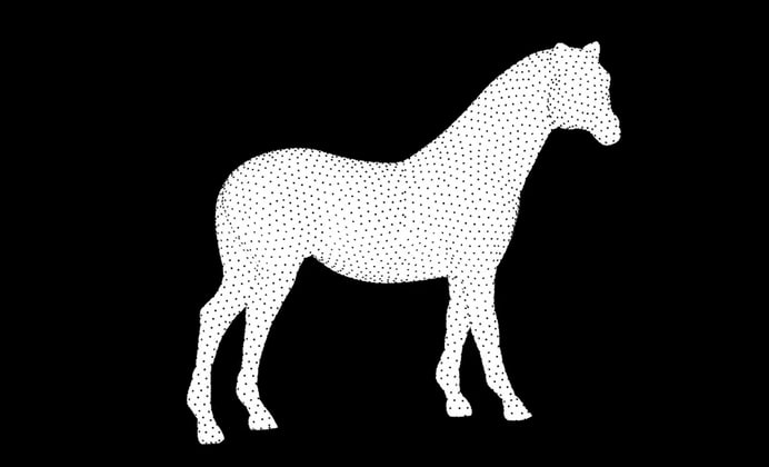 Rotating horse optical illusion