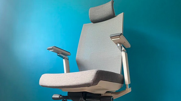 Flexispot Ergonomic Office Chair OC13