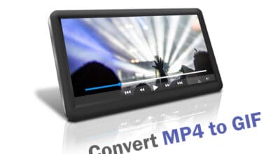 Convert MP4 to GIF