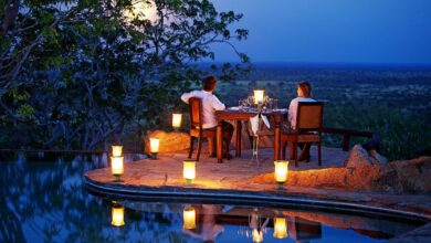Serengeti Is Perfect for a Honeymoon